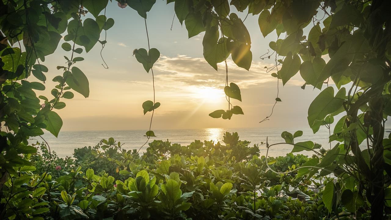Bay Vista Otel Arugam Bay Oda fotoğraf