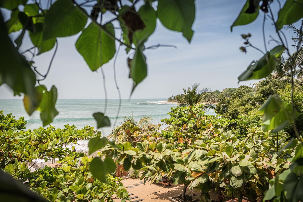 Bay Vista Otel Arugam Bay Dış mekan fotoğraf